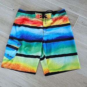 Men's Hang Ten Multicolor Board Shorts / Swim Trunks, Sz 34 - NWOT